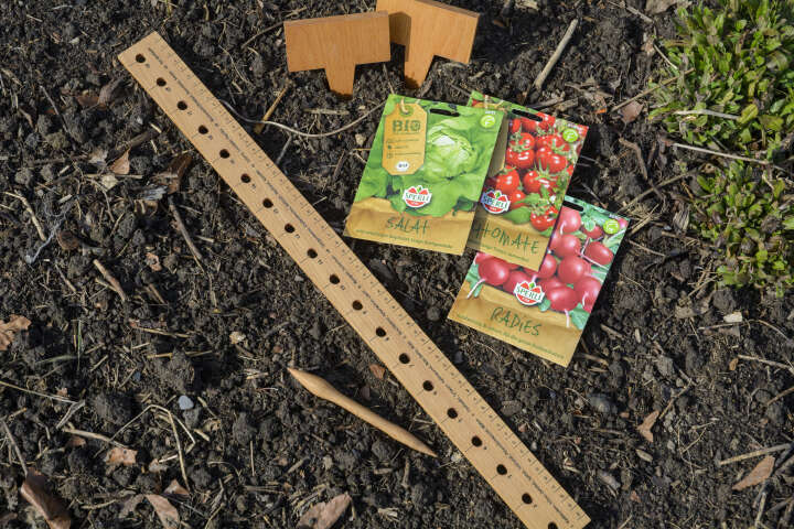 dobar Pflanzen-Starter-Set aus Buchenholz